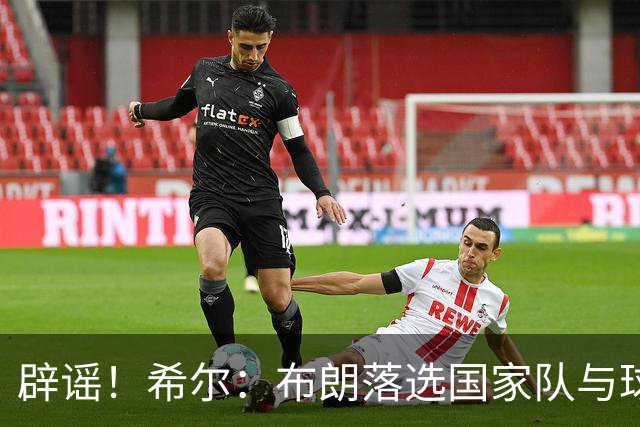 辟谣！希尔：布朗落选国家队与球鞋品牌无关 这种说法实在离谱
